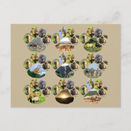 Cartão postal do Afro Wildlife Lion Pawprint 9