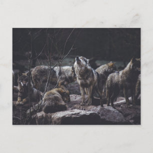 Cartão Postal do Alcate de Lobos