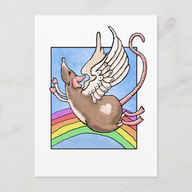 Cartão Postal do Anjo Rato (Frente)