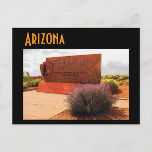 Cartão postal do Arizona (Floresta Petrificada)