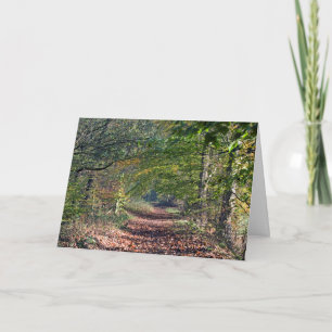 Cartão postal do Autumn Pegpath Poynton Cheshire