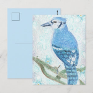 Cartão Postal do Azulão com Lápis Colorido Bonito