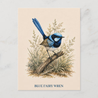 Cartão Postal do Blue Fairy Wren | Edição Bush