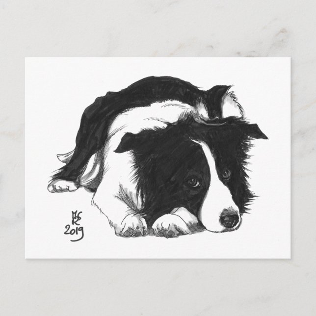 Cartão postal do Border Collie do Doggust 2019 (Frente)