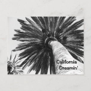 Cartão postal do California Dreamin