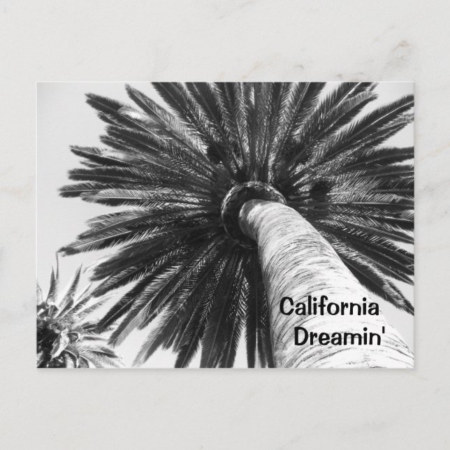 Cartão postal do California Dreamin (Frente)
