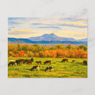 Cartão Postal do Camelo Corcunda de Vermont