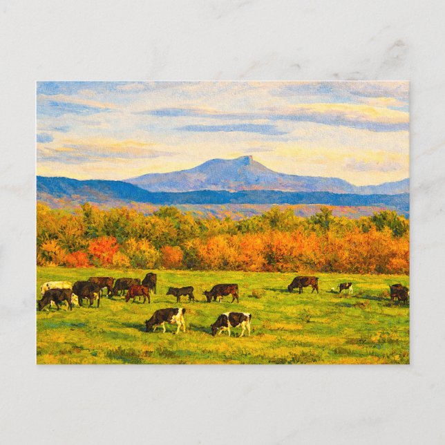 Cartão Postal do Camelo Corcunda de Vermont (Frente)