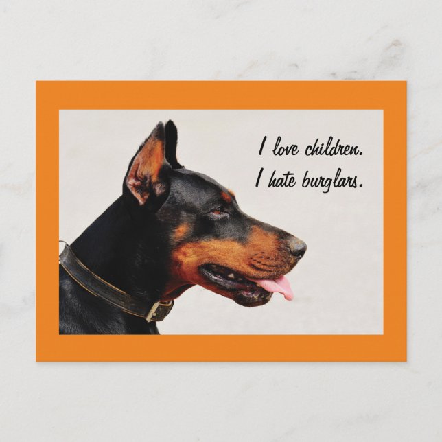 Cartão postal do cão Doberman "Eu odeio ladrões" (Frente)