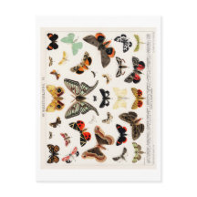 CARTÃO POSTAL DO CARTÃO DE BORRACHA DE VINTAGEM