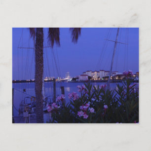 Cartão Postal Do Cartão-postal da Cobra