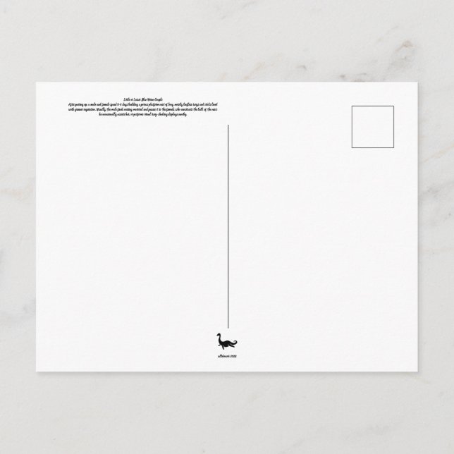 Cartão postal do casal de garças (Verso)