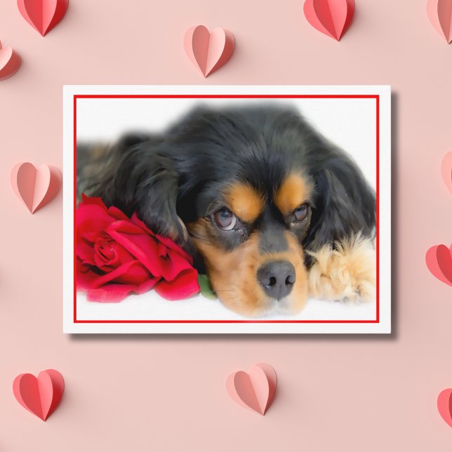 Cartão postal do Cavalier King Charles Spaniel com (Criador carregado)