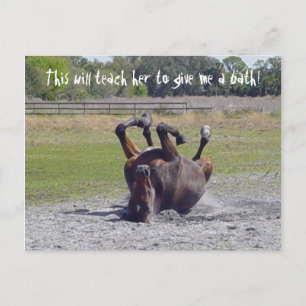 Cartão postal do cavalo rolando