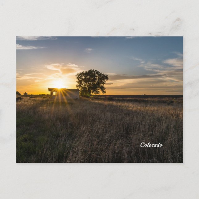 Cartão Postal do Celeiro Abandonado no Pôr do Sol  (Frente)