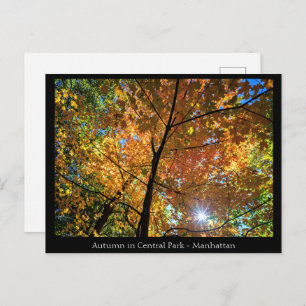 Cartão postal do Central Park Manhattan