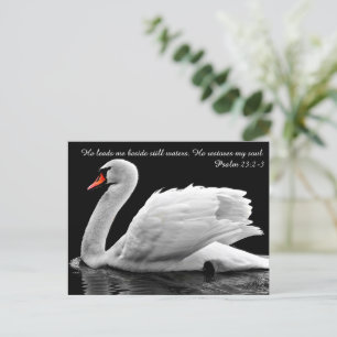 Cartão Postal do Cisne Cristão
