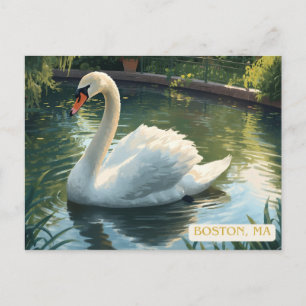 Cartão postal do Cisne do Jardim Público de Boston