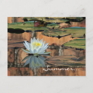 Cartão-postal do Convite de festas Solstício de Ve