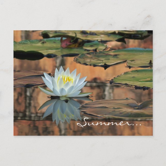 Cartão-postal do Convite de festas Solstício de Ve (Frente)