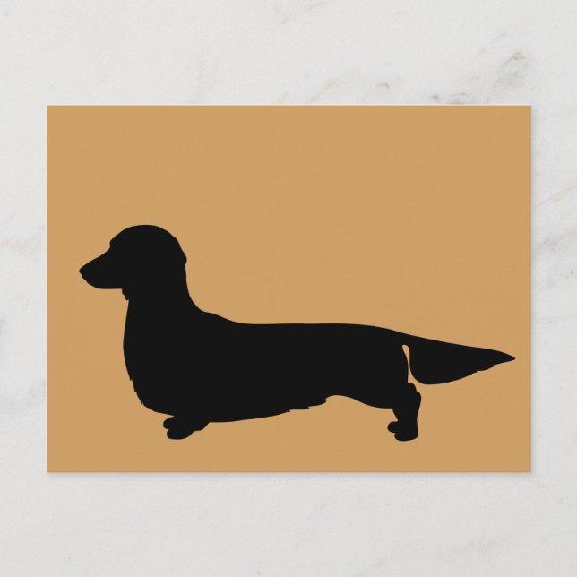 Cartão postal do Dachshund de pelo longo (Frente)
