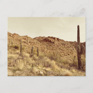 Cartão postal do deserto de arizona