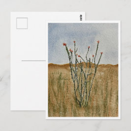 Cartão Postal do Deserto de Chihuahua Ocotillo