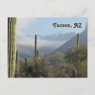 Cartão postal do deserto de Tucson Arizona