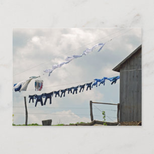 Cartão postal do dia de lavandaria