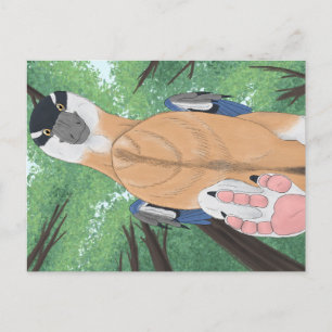 Cartão postal do dinossauro - Dromaeopodus