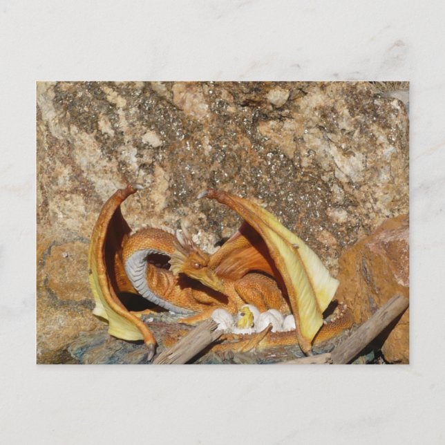 Cartão Postal do Dragão (Frente)