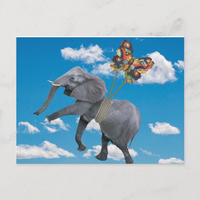 Cartão postal do Elefante e Borboleta Alegres (Frente)