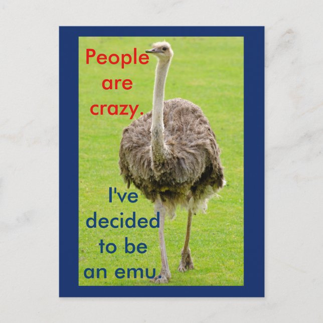 Cartão postal do Emu engraçado (Frente)