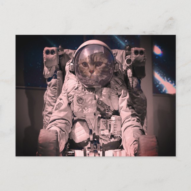 CARTÃO POSTAL DO ESPAÇO DO GATO ASTRONAUTA (Frente)