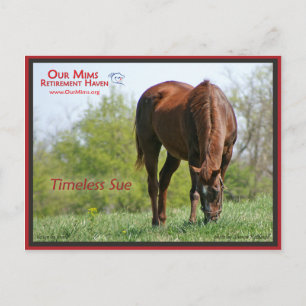 Cartão postal do eterno