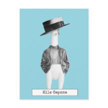 Cartão Postal do Frango de Borracha Legal