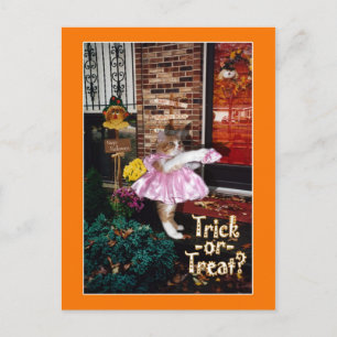 Cartão postal do gatinho de Halloween Trick-or-Tre