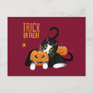 Cartão postal do gato do halloween 'Trick or Treat
