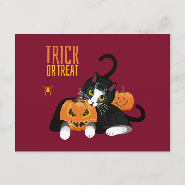 Cartão postal do gato do halloween 'Trick or Treat (Frente)