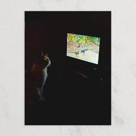 Cartão postal do gato que adora tempo na tela
