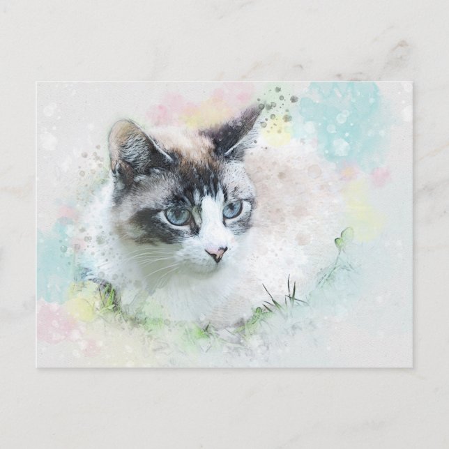cartão postal do gato sonho (Frente)