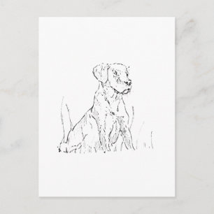 Cartão Postal do Golden Retriever - Ilustração do