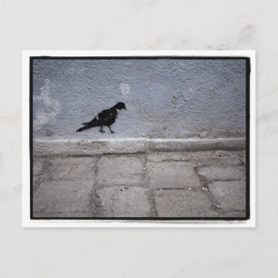Cartão postal do Grafite Pombo