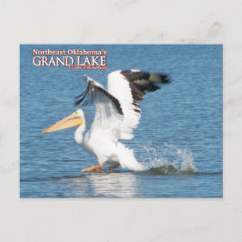cartão postal do Grand Lake Oklahoma pelicano 16v1