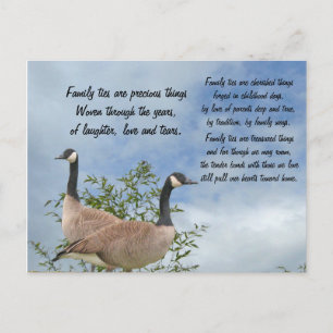 Cartão postal do Gravatas