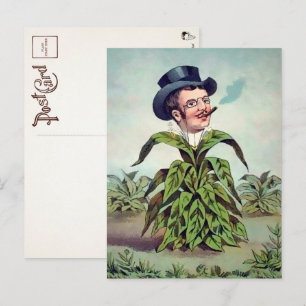 Cartão postal do homem das plantas vitoriano 