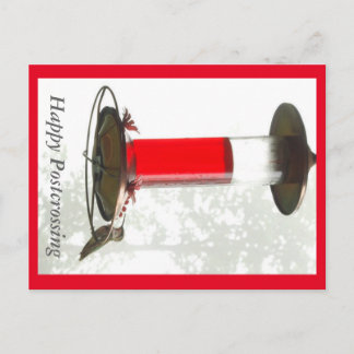 Cartão postal do Hummingbird