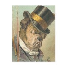 Do "ilustração do vintage do cão sono"