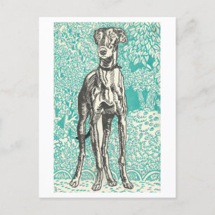 Cartão postal do Impressão Moriz Jung Greyhound