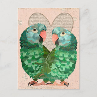 Cartão postal do Jade Parrots